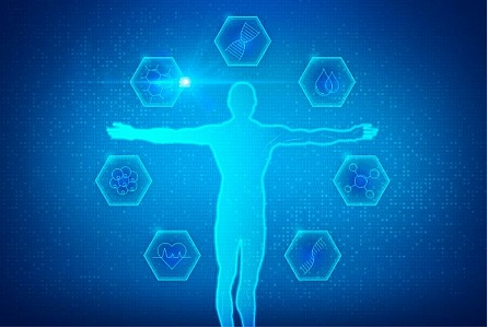 biomedical physiology