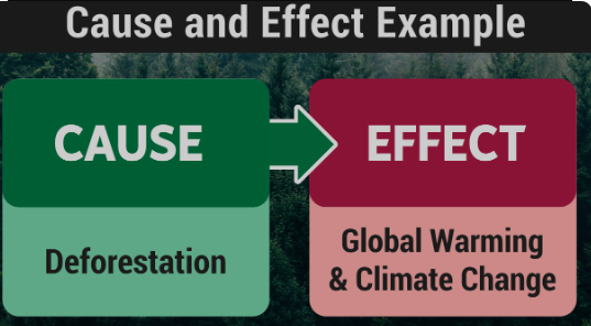 Cause and Effect Relationships