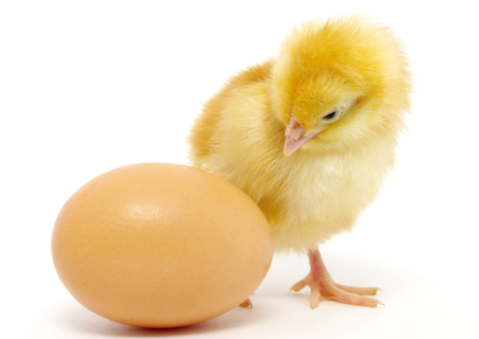 abstact vs summaries