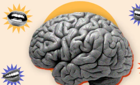 Identify and Debunk Logical Fallacies.