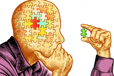 Identify and Debunk Logical Fallacies.