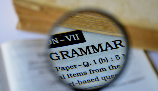 Analytical Essay Linguistic Elements: Language, Tense and Verbs