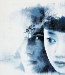 Snow Falling on Cedars: Analysis of Prejudice, Justice, and Identity