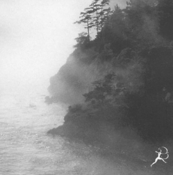 Snow Falling on Cedars: Analysis of Prejudice, Justice, and Identity