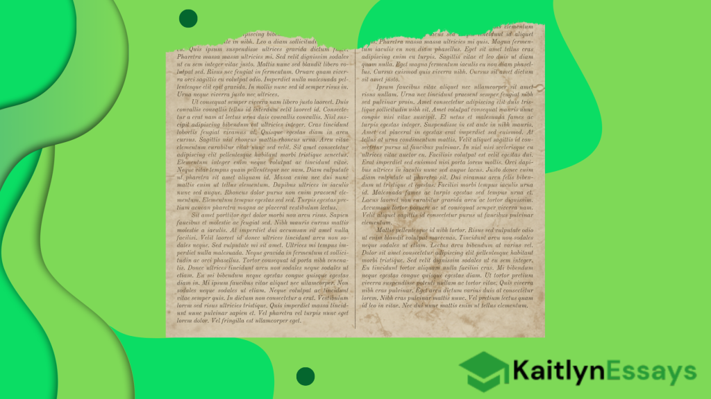 Components of a Reflection Paper About a Book