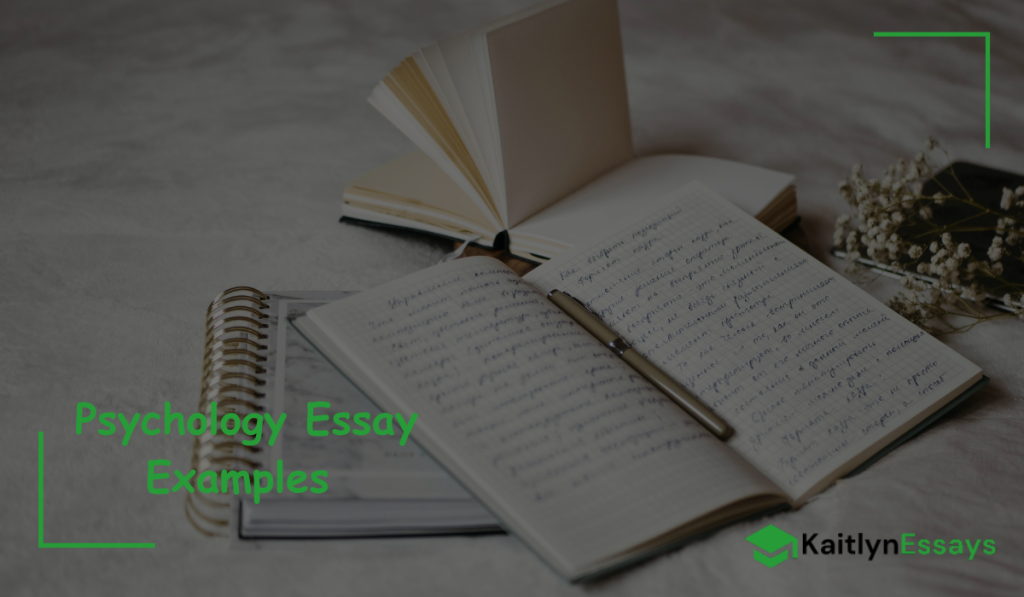 Psychology Essay Examples and Guide